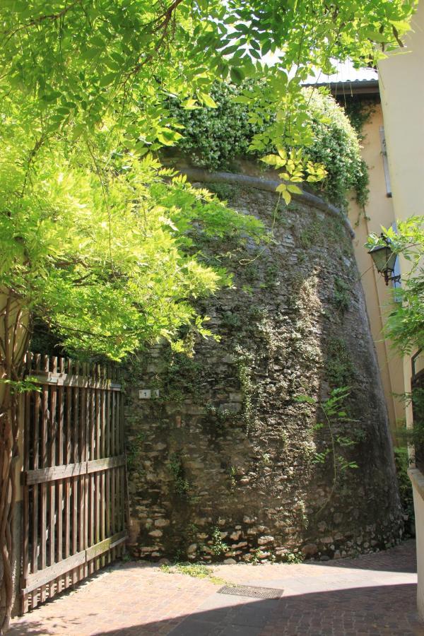 B&B Color Rovereto Rovereto  Zewnętrze zdjęcie